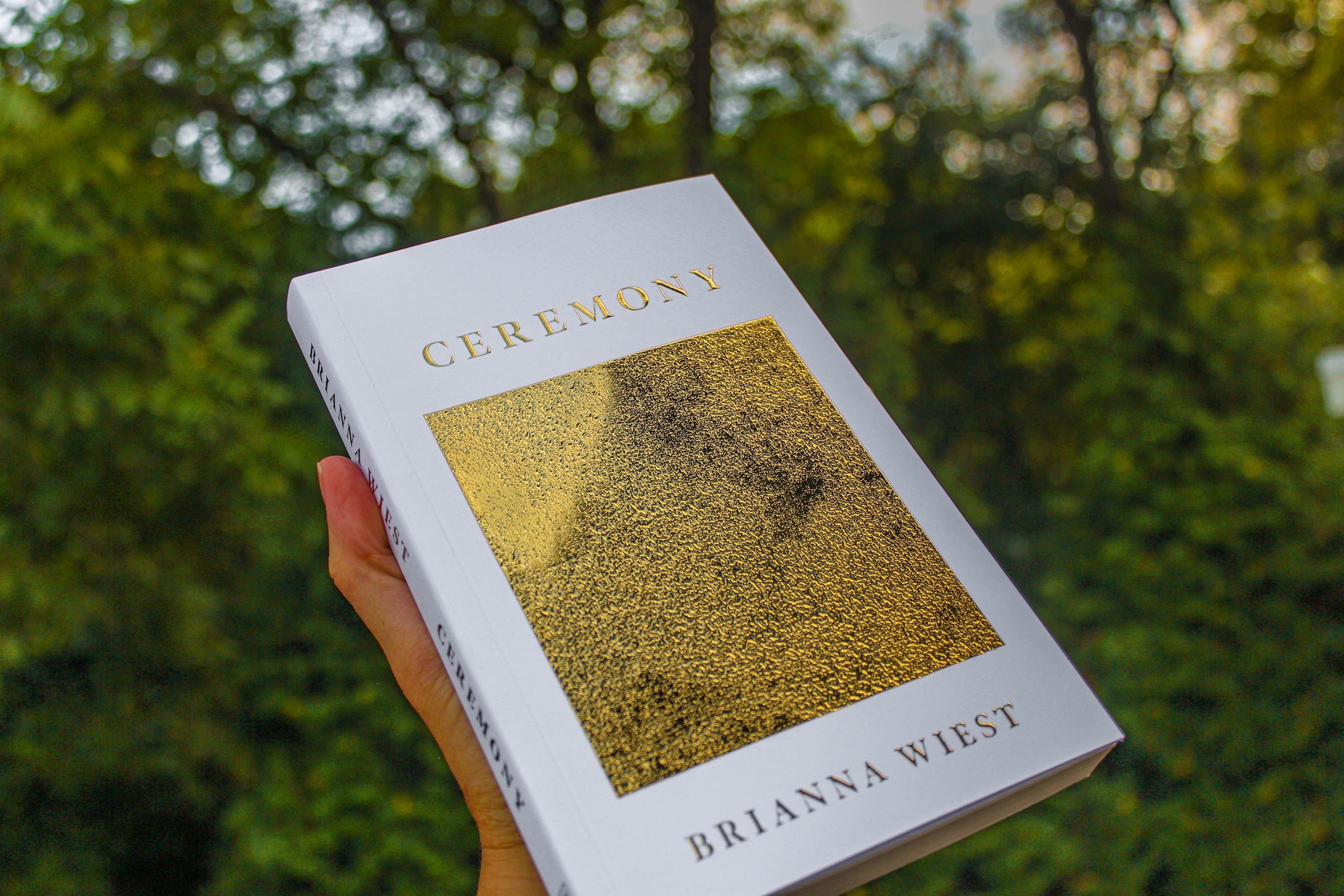 How to Find Beauty in Change with Brianna Wiest's "Ceremony"