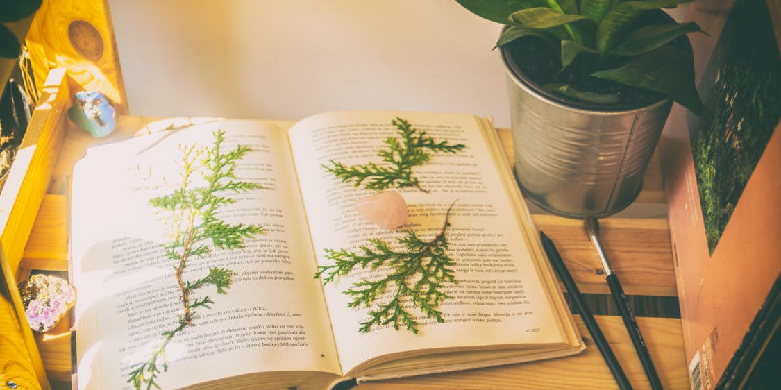 5 Classic Books You Can Read to Start Owning Your Story