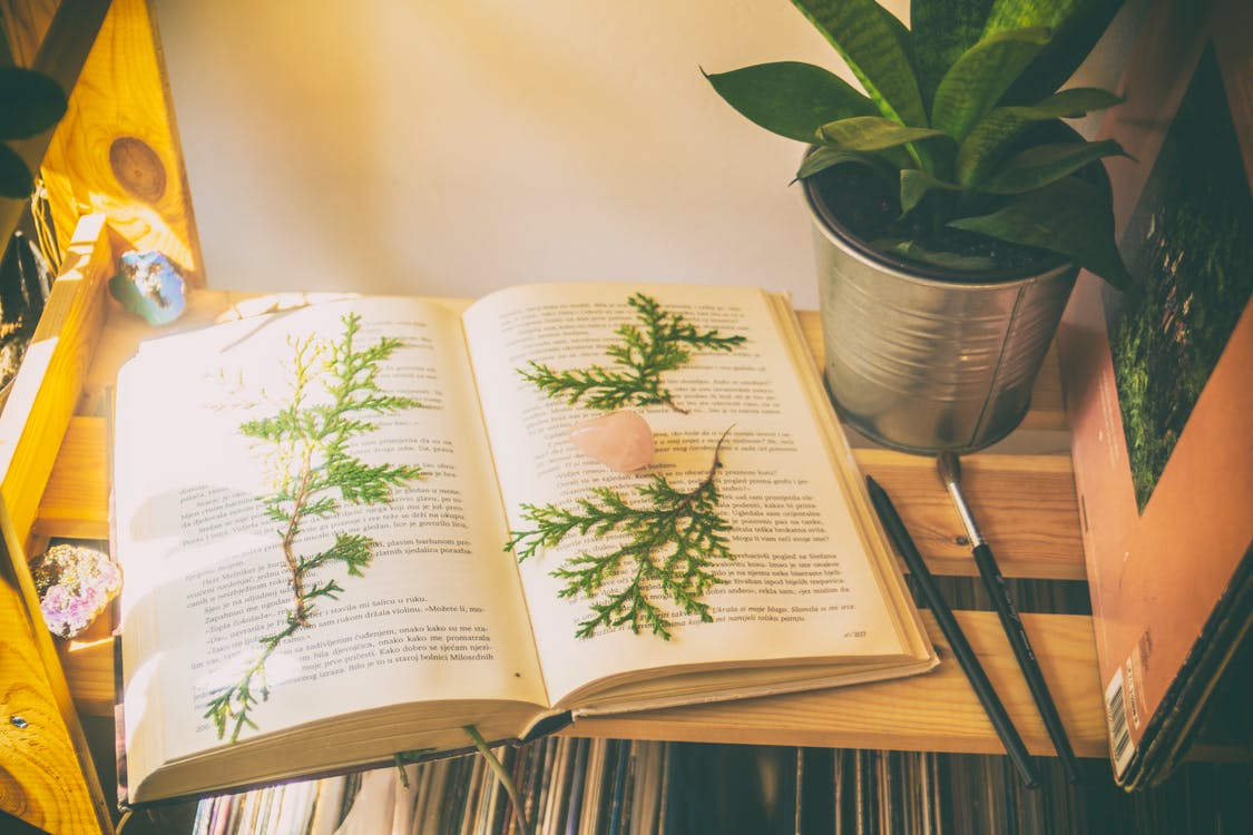 5 Classic Books You Can Read to Start Owning Your Story